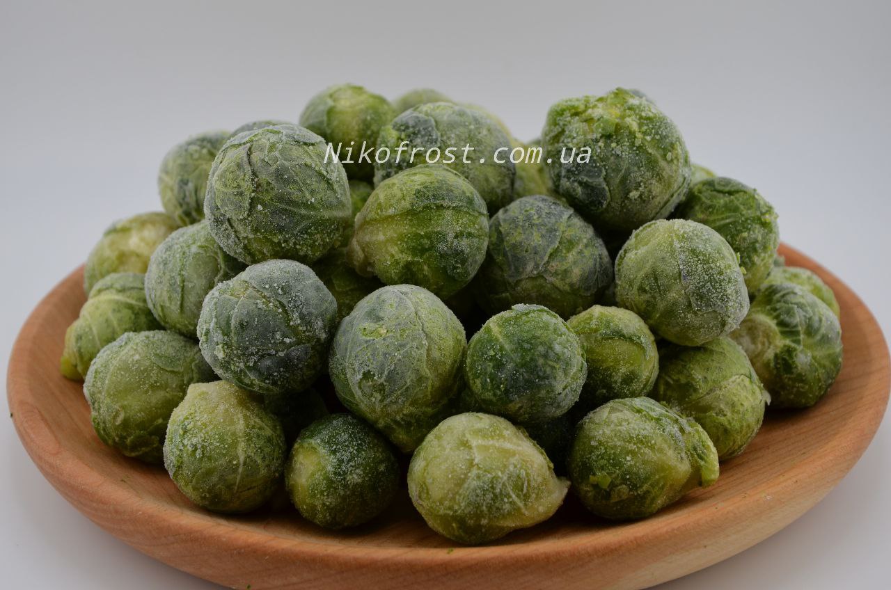 photo_2023-12-21_19-36-55 (7)